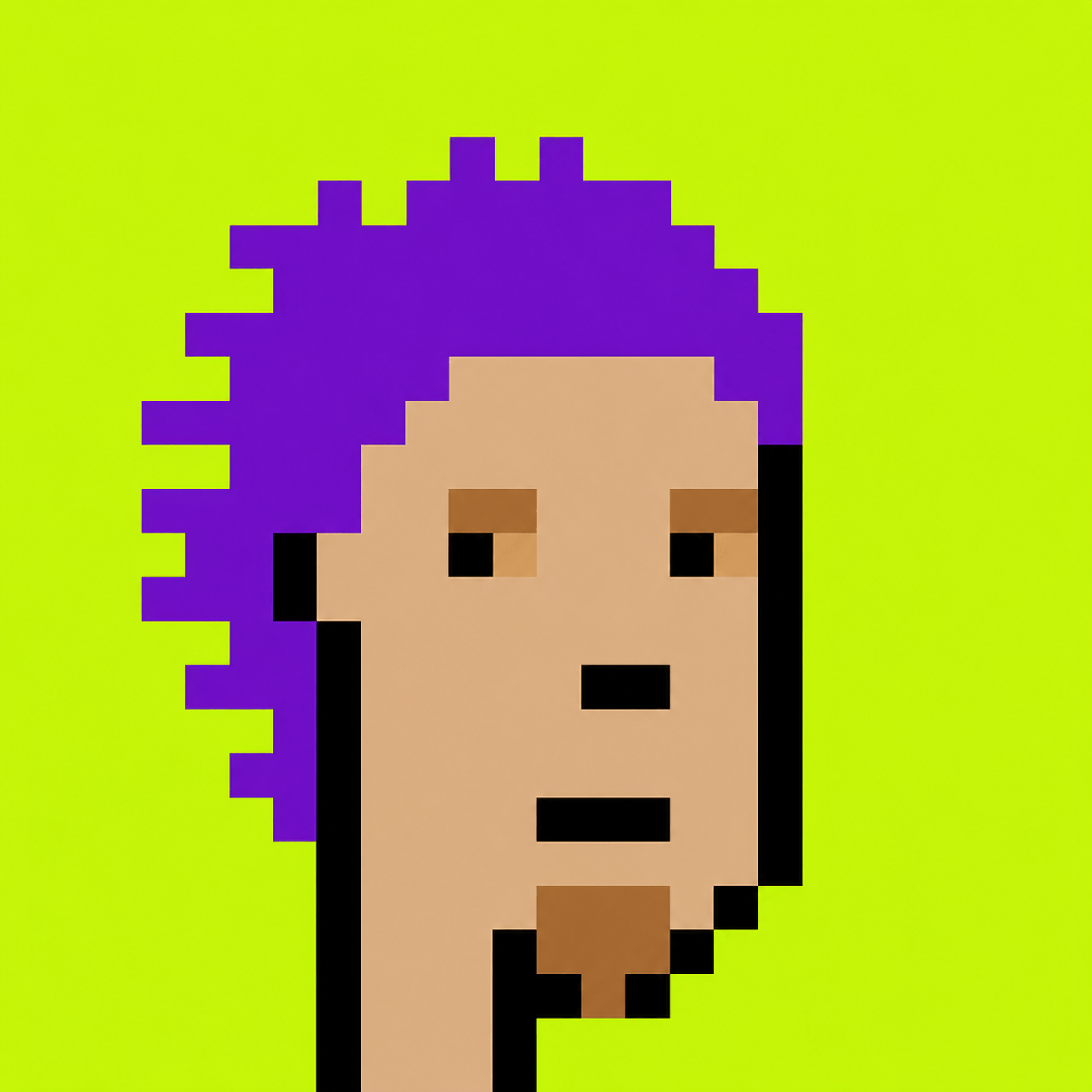 Robin Punk NFT Preview
